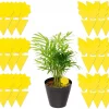 Sticky Fruit Fly Traps, 18 pcs Fungus Gnat Killer Trap use for Indoor Outdoor