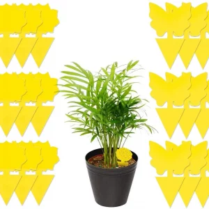 Sticky Fruit Fly Traps, 18 pcs Fungus Gnat Killer Trap use for Indoor Outdoor