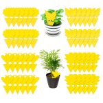 Samerd Sticky Fungus Gnat and Fruit Fly Traps, Non-Toxic, 48 Count